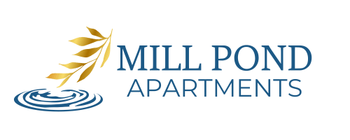 Mill Pond (Brooklyn)