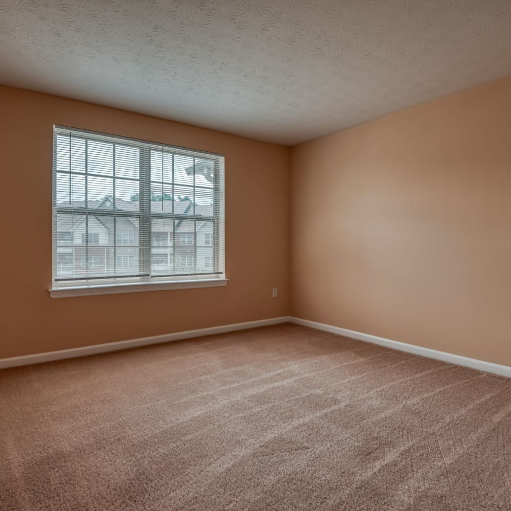 Apartment with natural light at Chatham Commons, Cranberry Township, Pennsylvania