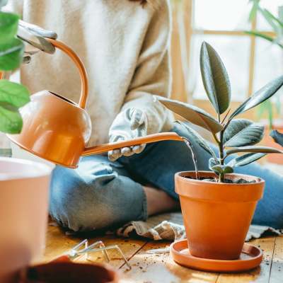 Resident watering indoor plants in a bright living space at Eagle Ridge Circle in Rochester, New York