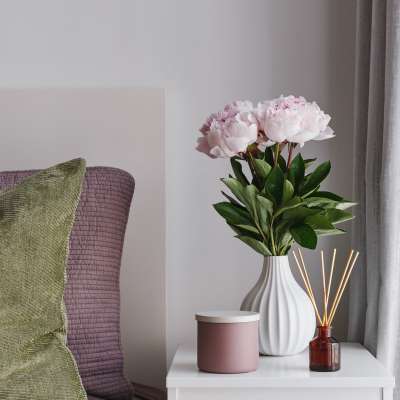 Cozy interior decor with cushions and potted plant at Eagle Ridge Circle in Rochester, New York
