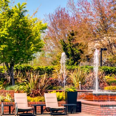 Chaise lounge chairs, fountains, and mature trees near the pool at Sofi at Murrayhill in Beaverton, Oregon