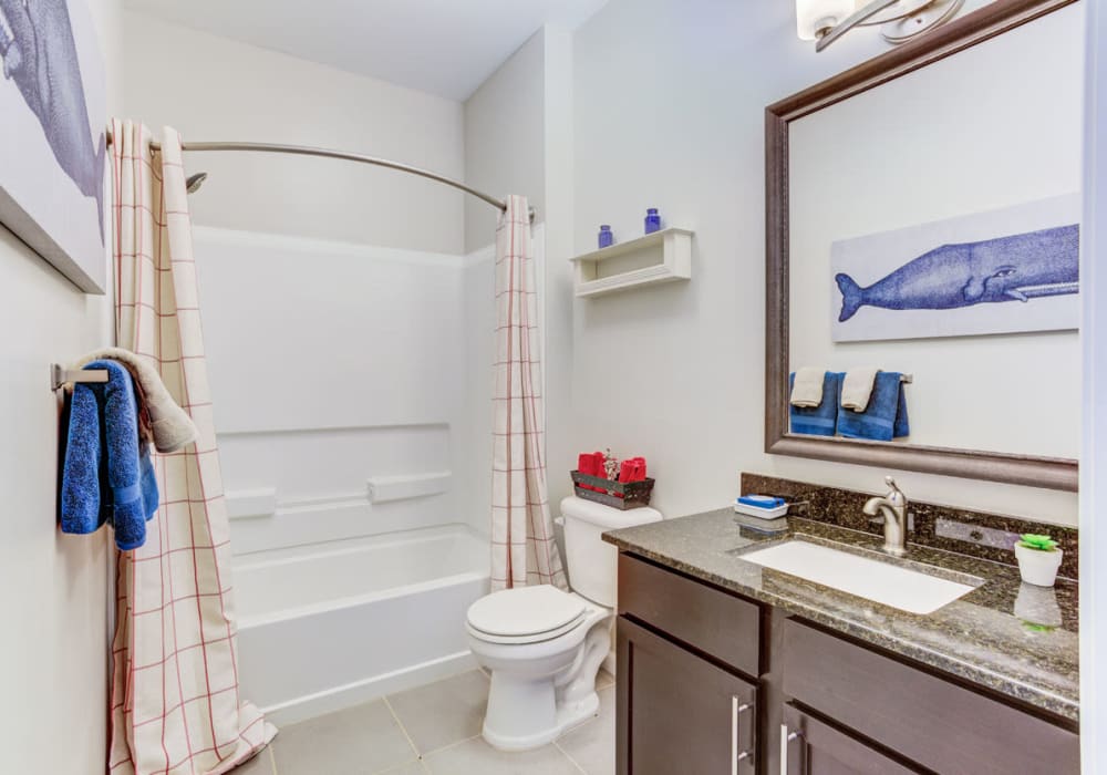 Bathroom with shower and tub at Bacarra Apartments in Raleigh, North Carolina
