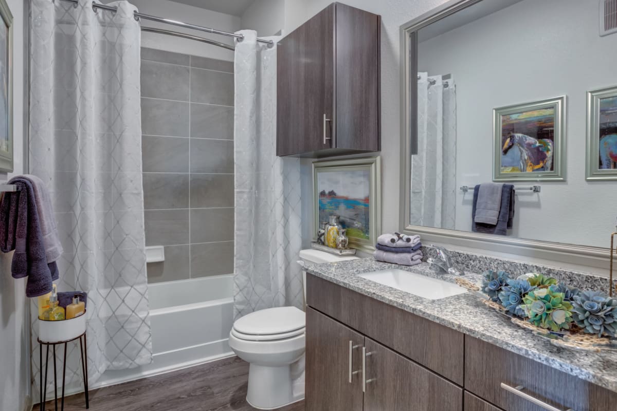Apartment bathroom at Williamson at the Overlook in Georgetown, Texas
