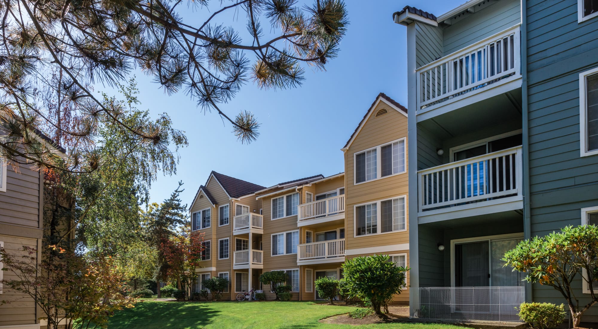 Neighborhood at The Knoll Redmond in Redmond, Washington