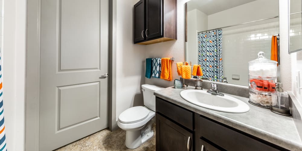Bathroom at Regents West at 24th in Austin, Texas