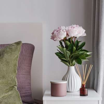 Cozy interior decor with cushions and potted plant at Eagle Ridge Circle in Rochester, New York