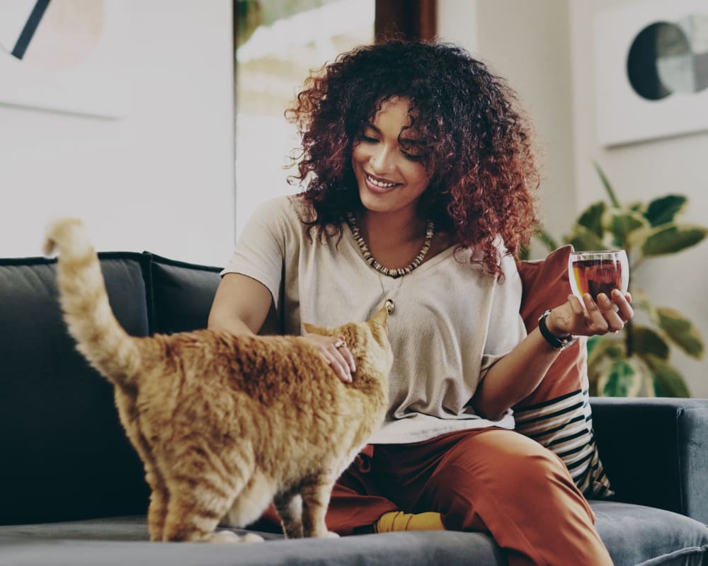 Resident petting her cat on the couch at Nieuw Amsterdam Village in South Amboy, New Jersey