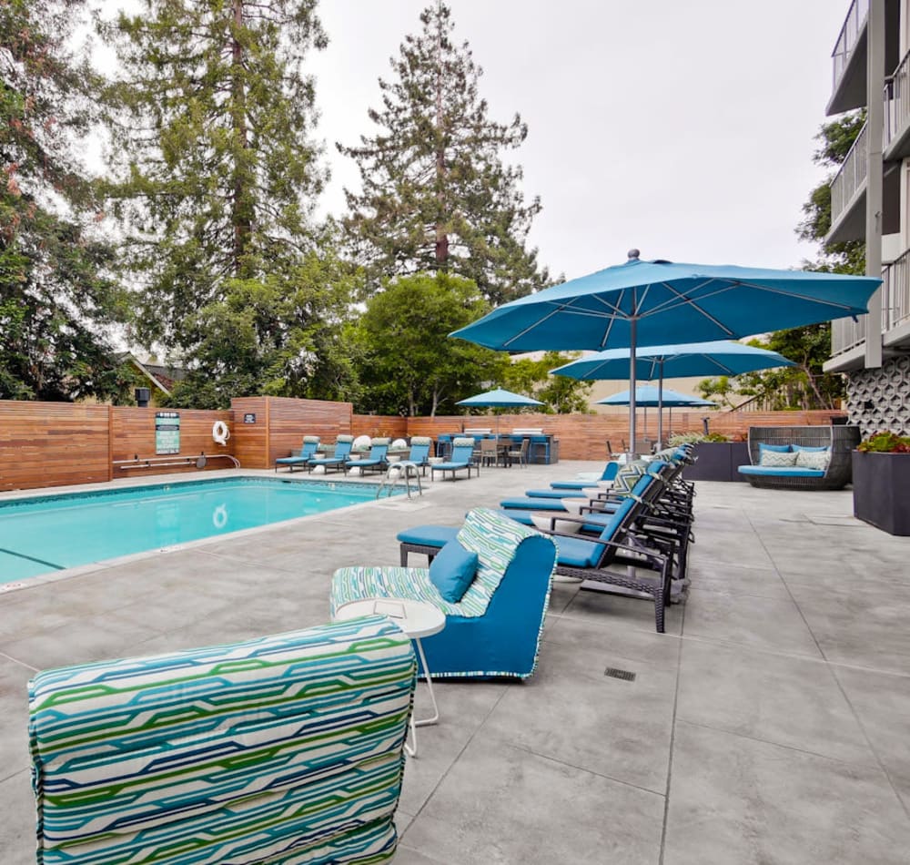 Lounge seating and chaise lounge chairs near the pool at Mia in Palo Alto, California