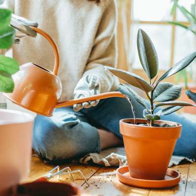 Resident watering indoor plants in a bright living space at Eagle Ridge Circle in Rochester, New York