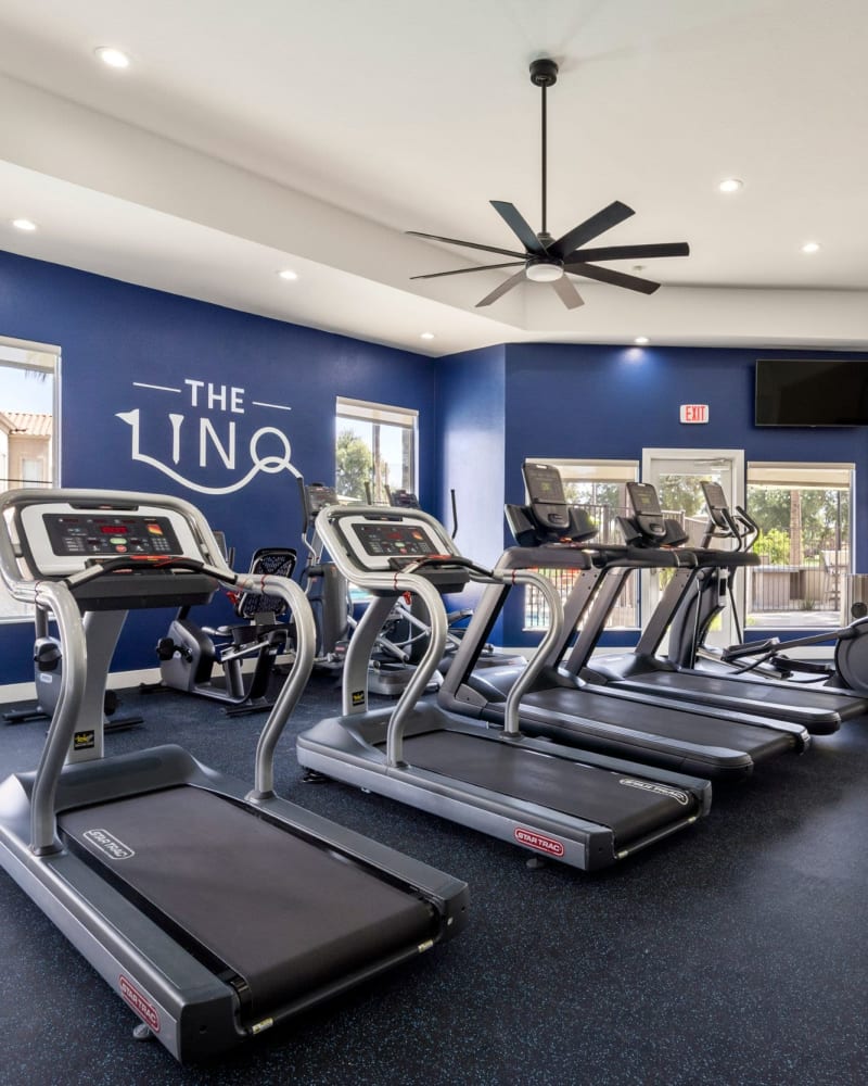 View our amenities like our fitness center at The Linq in Chandler, Arizona