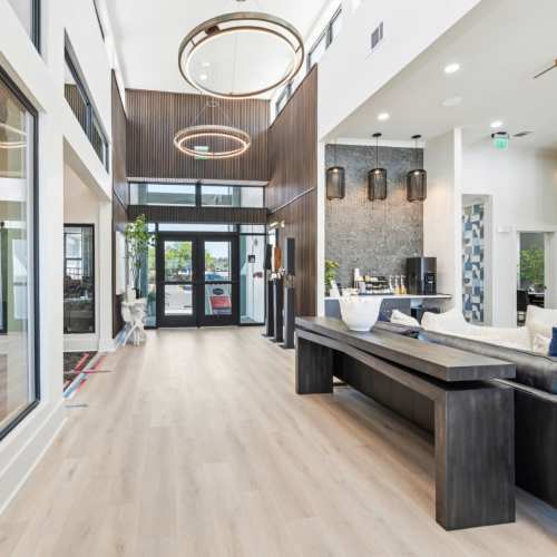 Evergreen-westside-apartments-gainsville-florida-brand-new-luxury-apartment-living-room-with-ceiling-fan (7) (Large)