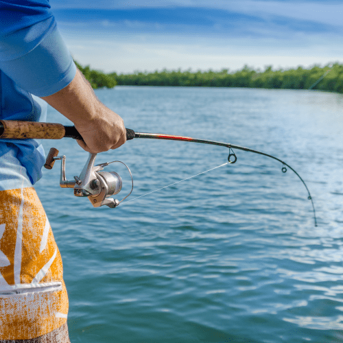 Resident fishing near Goldelm at Bennett Park in Bradenton, Florida
