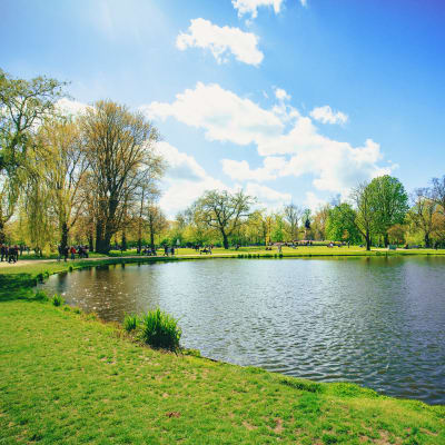 A local park near Madigan in Joint Base Lewis McChord, Washington