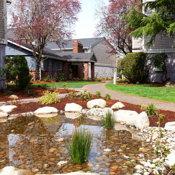 pond outside at Collins Junction in Lynnwood, Washington