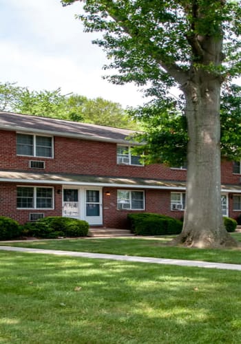 Shade and greenery at Brookview Manor Apartments in Stratford, New Jersey