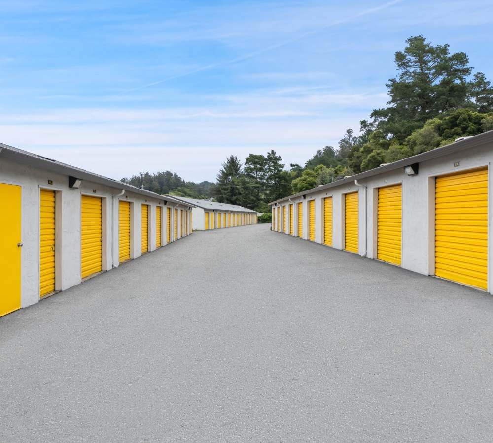 BuxBear Storage Aptos: Residential & Commercial Storage