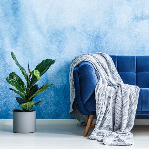 trendy blue couch at American Property Management in Bellevue, Washington