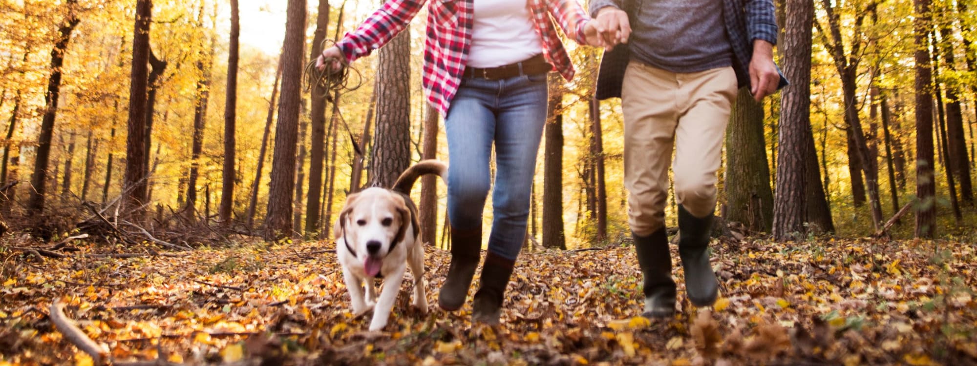 Crawford Crossing Apartments's pet policy in Turner, Oregon