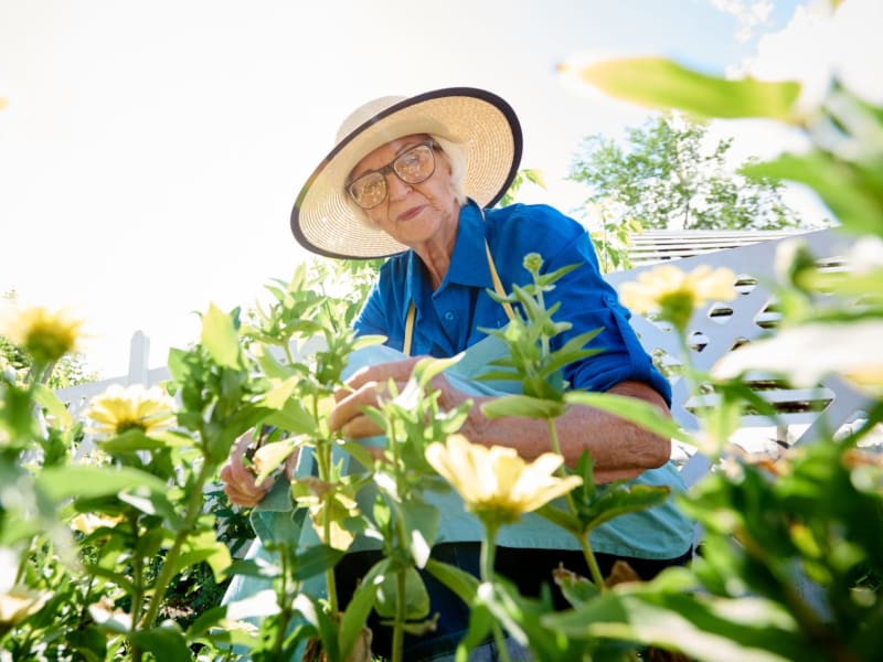 Gardening at Stoney Brook of Belton in Belton, Texas