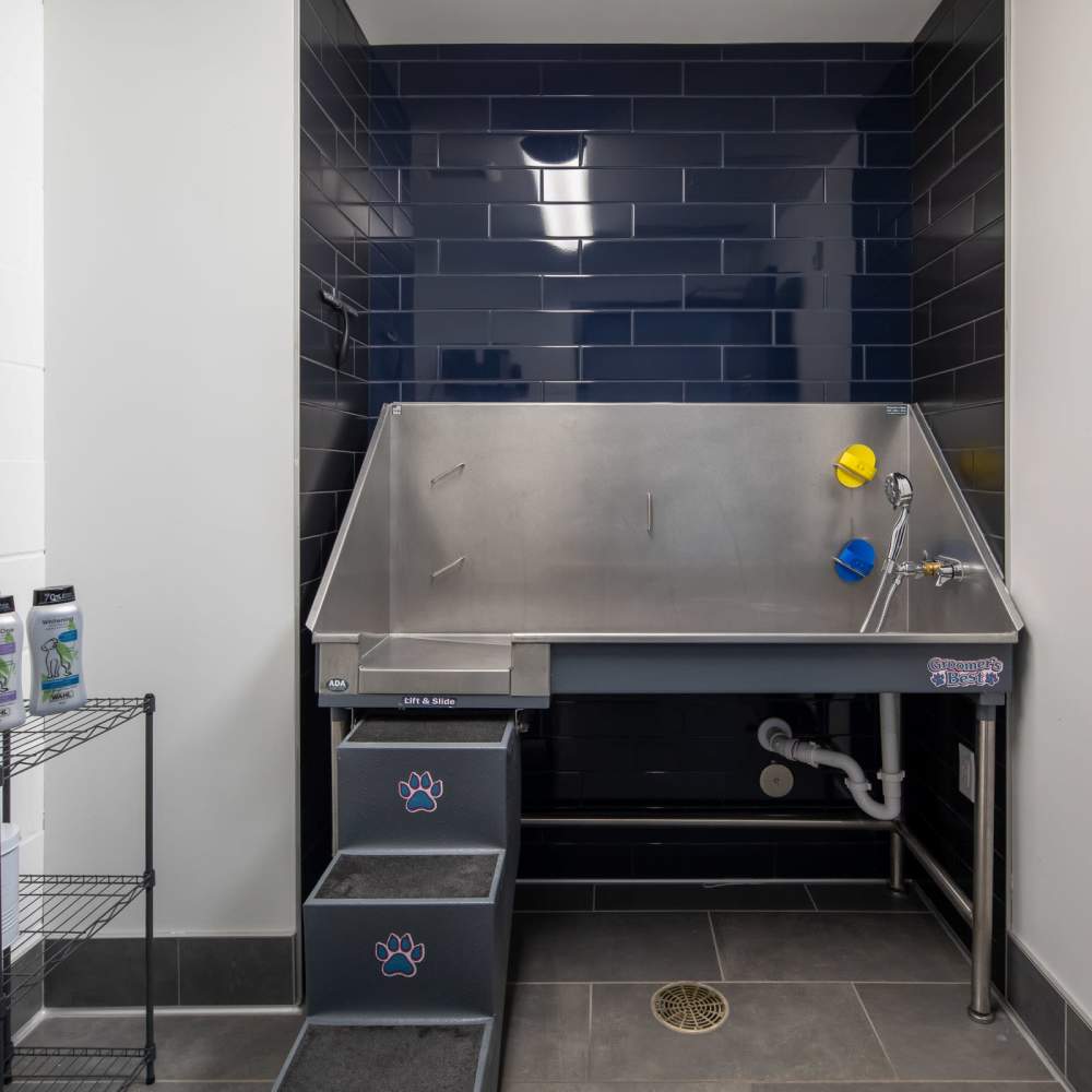 Pet spa at Oaks Pentagon Village in Edina, Minnesota