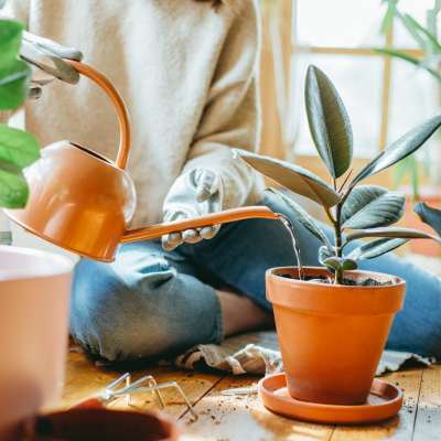 Resident watering indoor plants in a bright living space at Eagle Ridge Circle in Rochester, New York