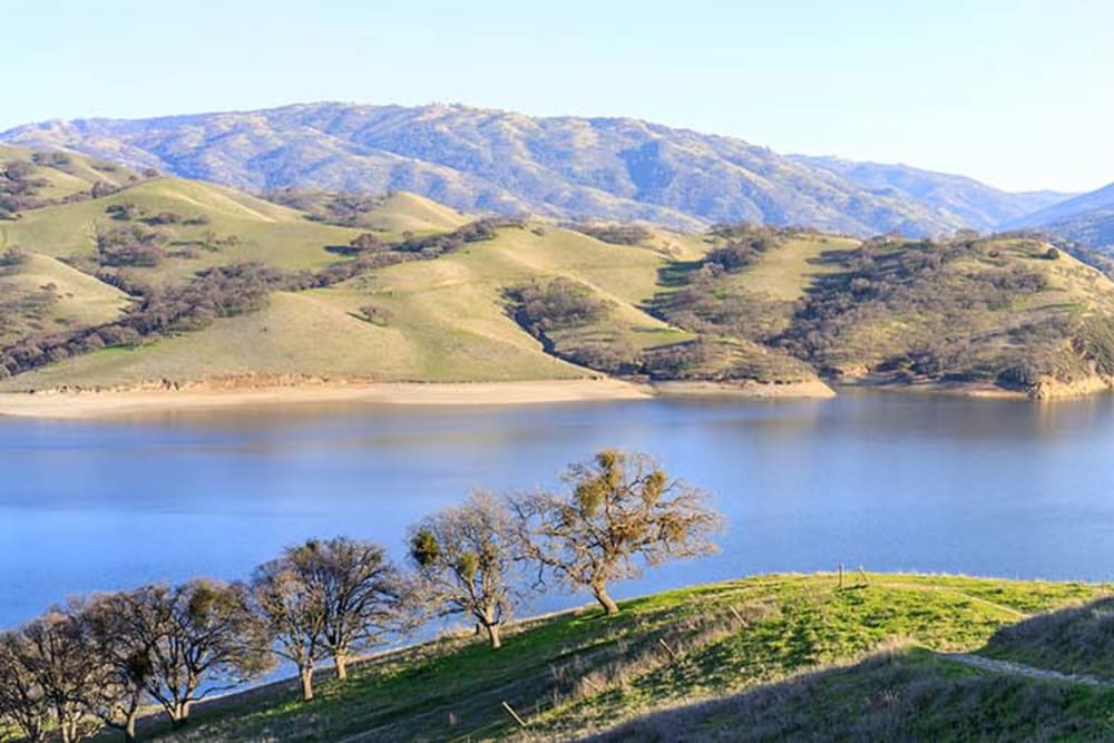 Beautiful nature view at Alderwood Park Apartment Homes in Livermore, California