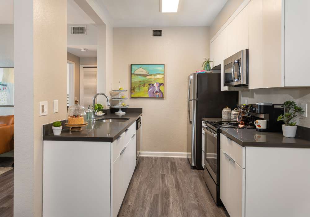 Spacious kitchen at Cotton Wood Apartments in Dublin, California