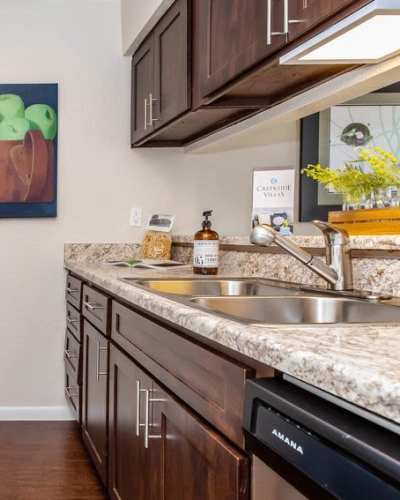 Apartment kitchen with granite countertop and wood-style flooring at Creekside Villas at Clear Lake Apartments in Houston, Texas
