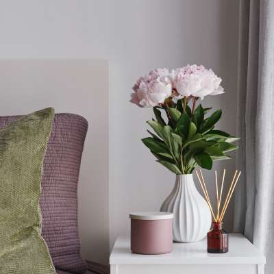 Cozy interior decor with cushions and potted plant at Eagle Ridge Circle in Rochester, New York
