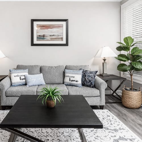 Spacious living room with couch and coffee table at Seasons at Bennett's Creek in Gastonia, North Carolina, 