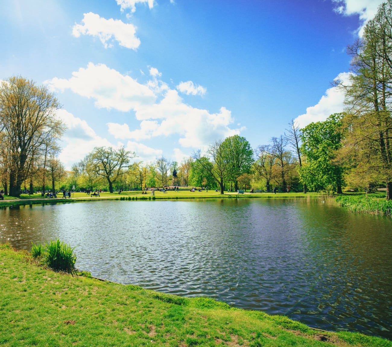 Gorgeous park area near at Moss Pointe in Canton, Georgia