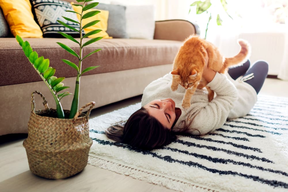 Resident with her cat loving their new life at The Barrington in Woodbury, Minnesota