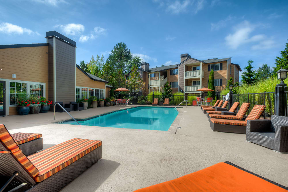 Beautiful resort-style swimming pool with comfortable lounge chairs at Newport Crossing Apartments in Newcastle, Washington