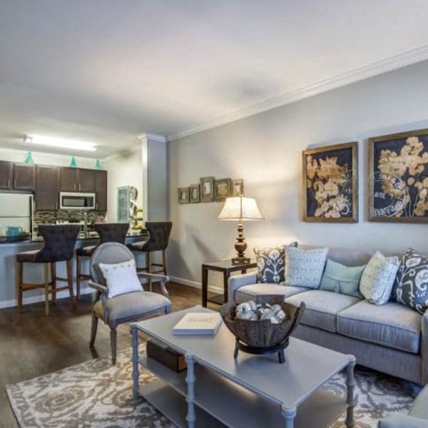 Furnished living room in an apartment at Bacarra Apartments in Raleigh, North Carolina