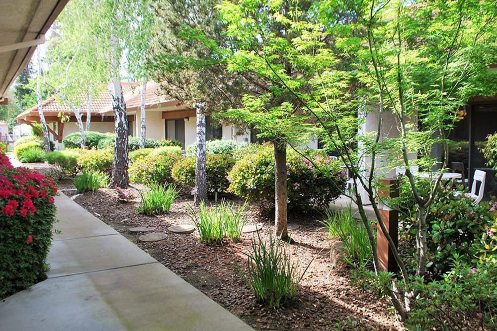 Walkway through Roseville Commons Senior Living in Roseville, California