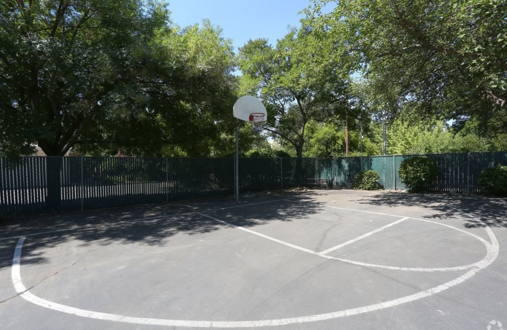 Basketball court at  Forest Park in Chico, California