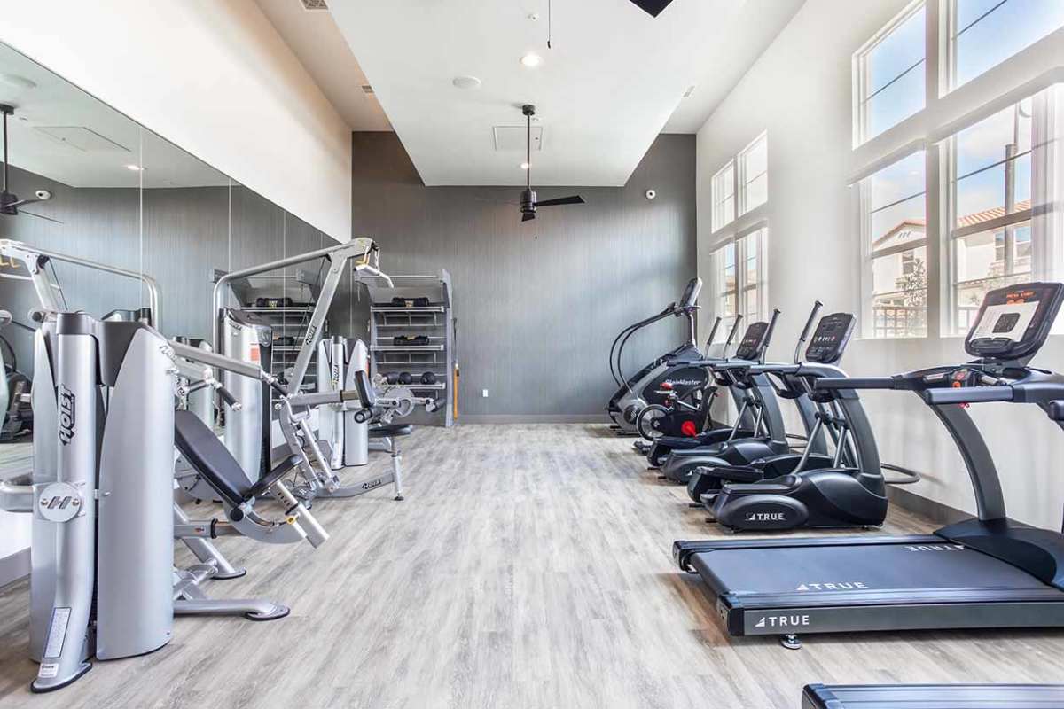 View amenities like spacious fitness center at Ageno Apartments in Livermore, California