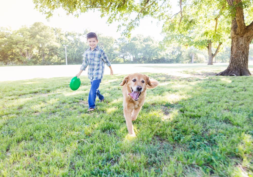 Boy and his dog at The Park at Research Forest in The Woodlands, TX