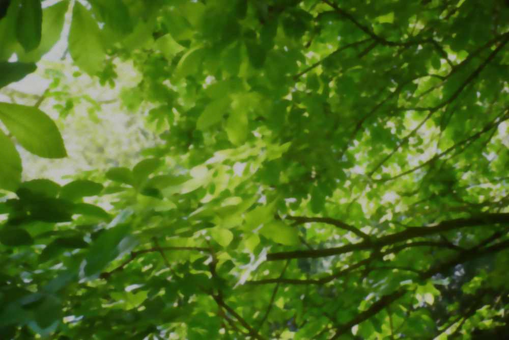 Background at Highland Glen in Scottsburg, Indiana