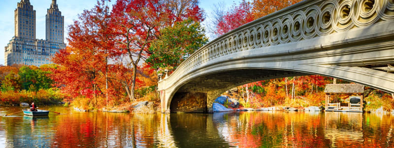 View from the water of a cool bridge in central park near Eastgold NYC in New York, New York