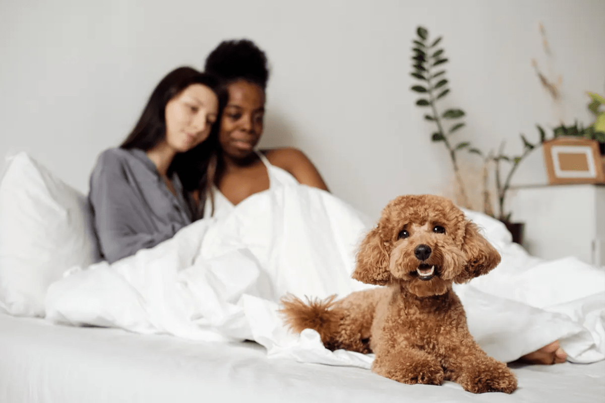 Residents in their bedroom with their pet at Terraces of Elk Grove in Elk Grove Village, Illinois