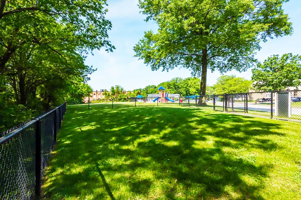 Spacious dog park with green lawn at Satyr Hill Apartments in Parkville, Maryland