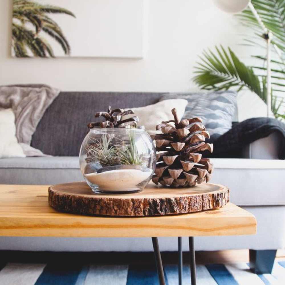 Well-furnished living room at Willowbrook Villa in Los Angeles, California