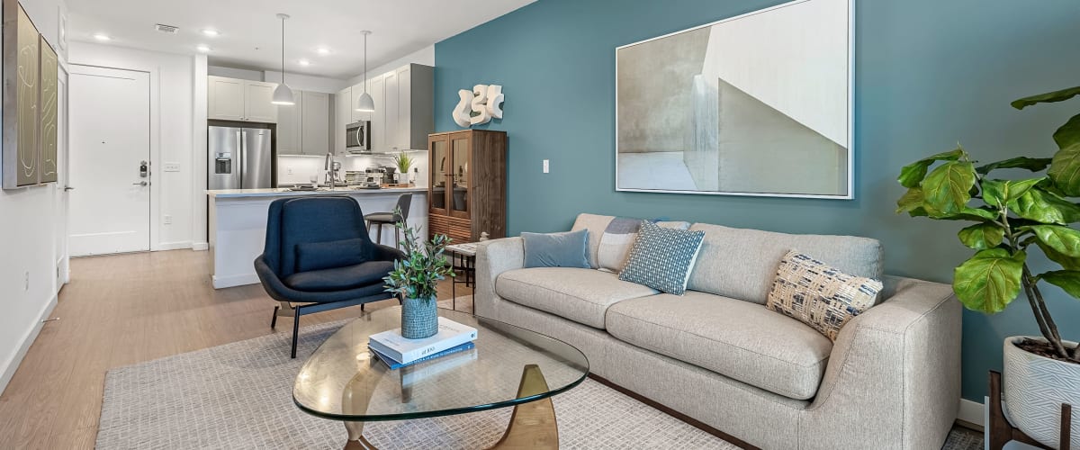 Luxury affordable living room at 44 South in Austin, Texas