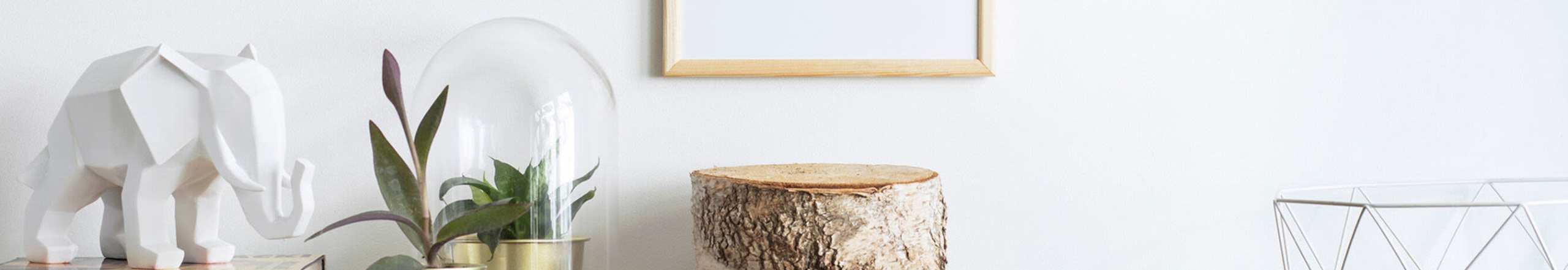 Gallery | Catherine H. Gallagher Coop in Jamaica Plain, Massachusetts