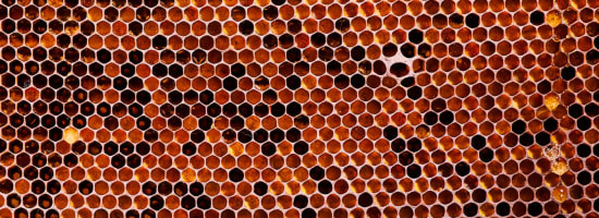 Bee hive up close at Big Sky Flats in Washington, District of Columbia