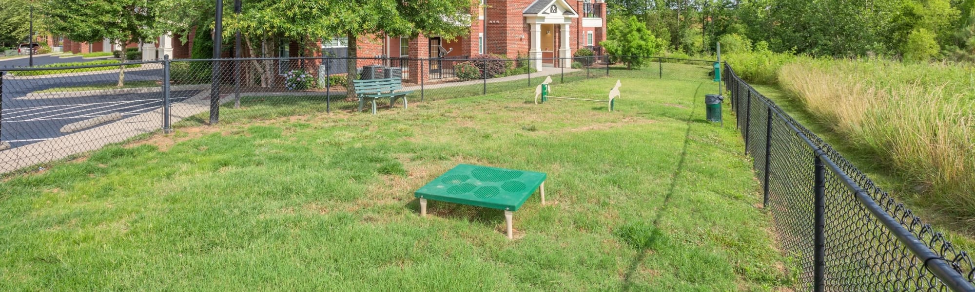Pet-friendly apartments at The Vive in Kannapolis, North Carolina