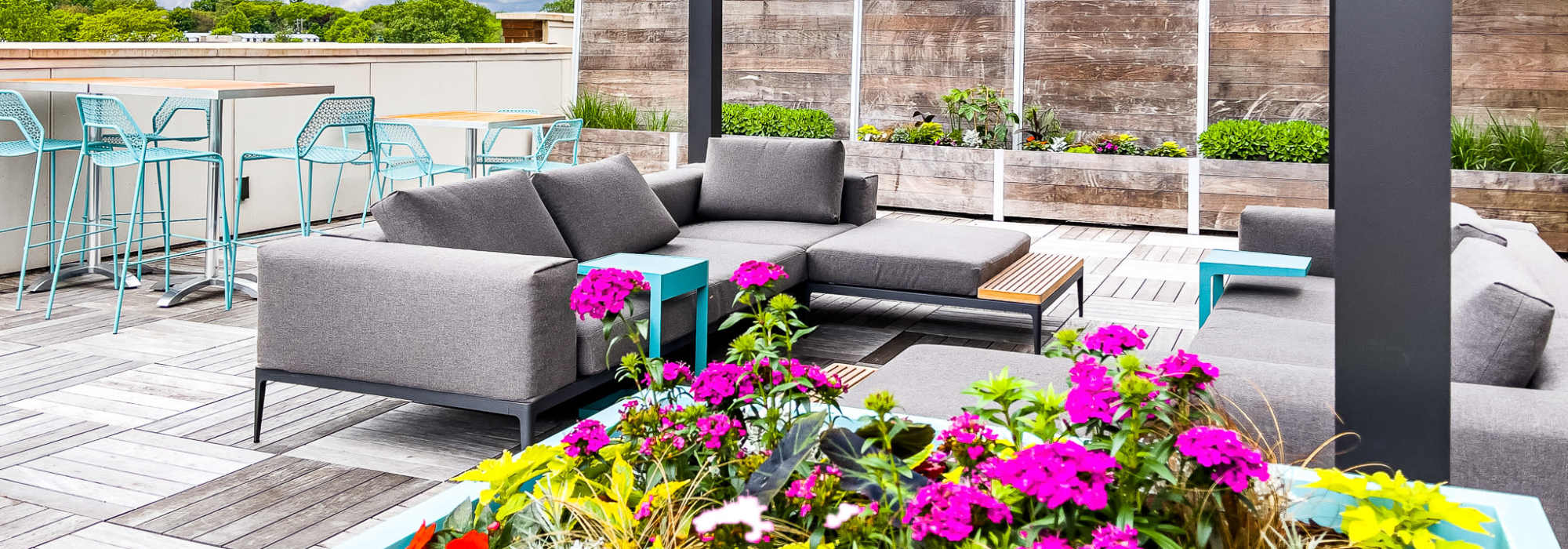 Sofa with plants at The Marling in Madison, Wisconsin