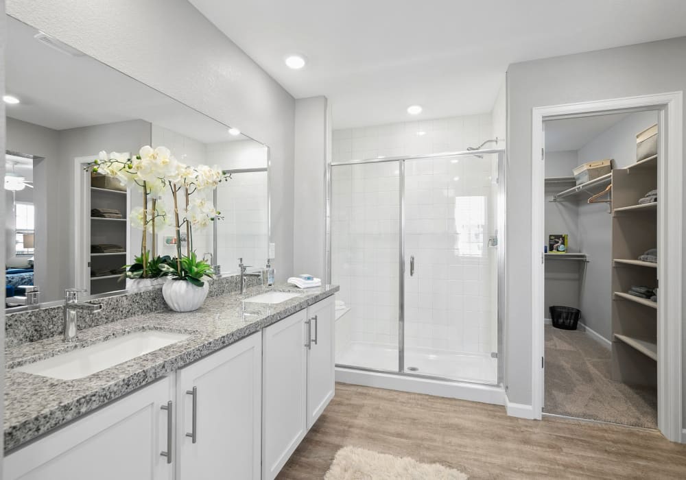 Large bathroom with tons of counter space on the vainity at BB Living Light Farms in Celina, Texas