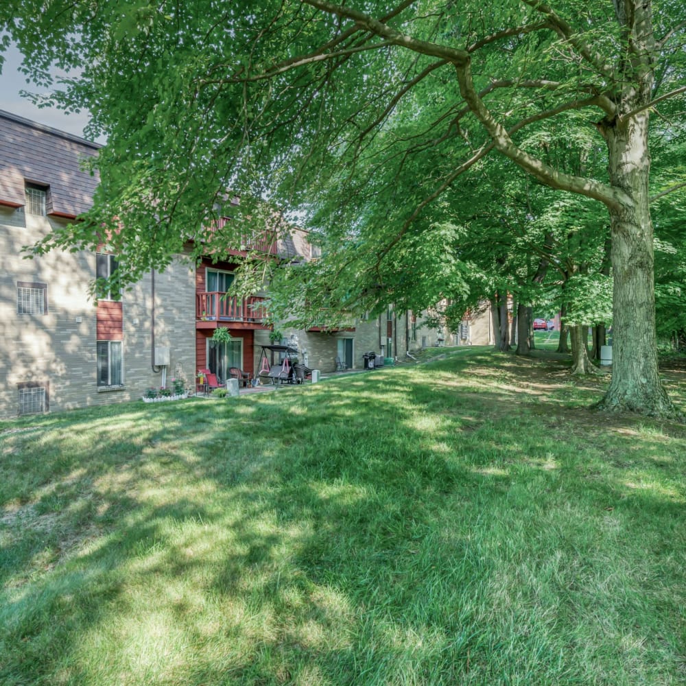 Lush landscaping with shade trees at Briarcliff Manor, Wheeling, West Virginia